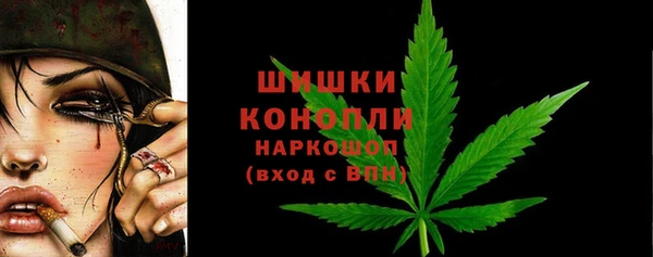 соль ск Дмитров