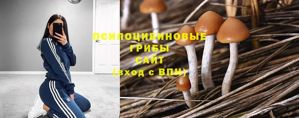 мескалин Ельня