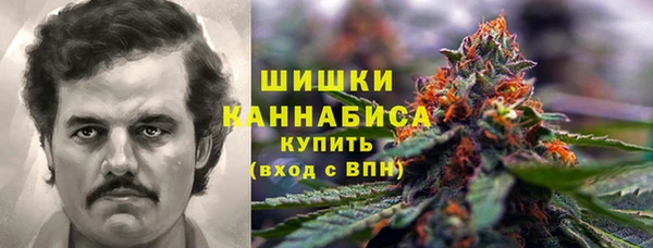 мескалин Ельня