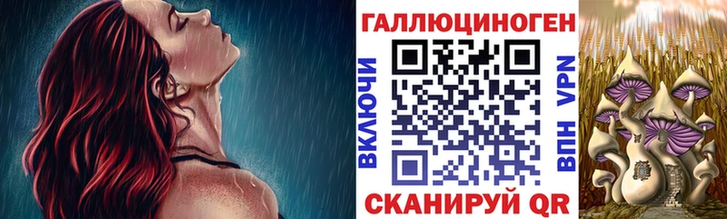 Галлюциногенные грибы Psilocybe  Купить где  Инза 